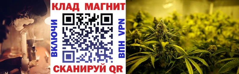COCAIN Рубцовск
