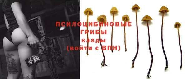 каннабис Алексин