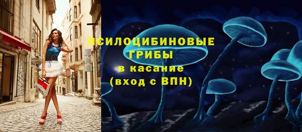 ГАЛЛЮЦИНОГЕННЫЕ ГРИБЫ Алзамай