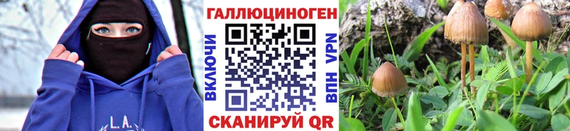 Галлюциногенные грибы ЛСД  Рубцовск 