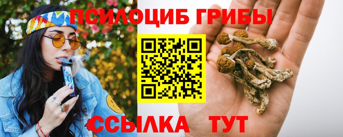 Рубцовск  Галлюциногенные грибы мухоморы  Вход с VPN 